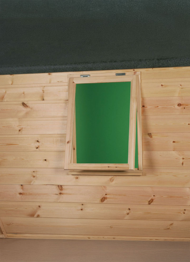 Shed Window
